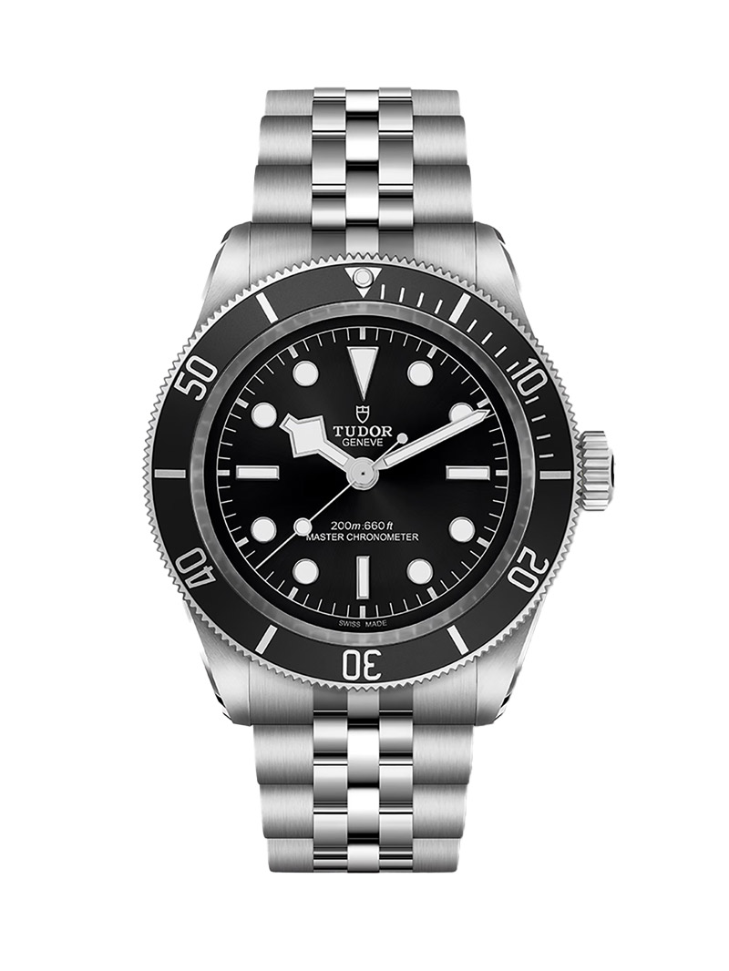 Tudor Black Bay METAS